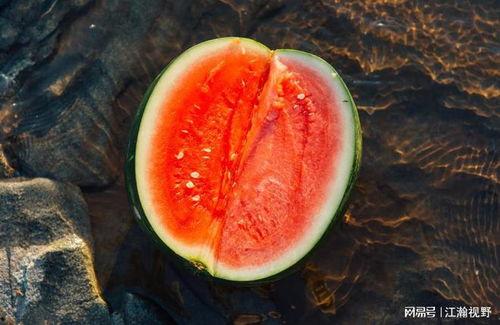 吃瓜不容易,吃瓜不易，真相难寻  第2张