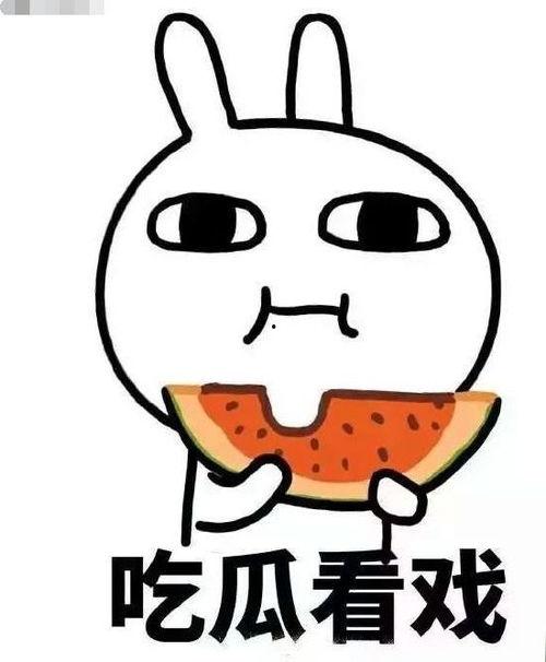 瓜哥吃瓜奇葩乐器,揭秘那些令人捧腹的奇葩乐器  第2张