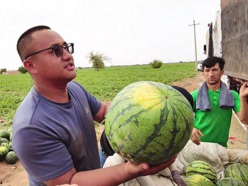 芦笛吃瓜,揭秘娱乐圈的甜蜜与苦涩  第2张