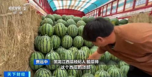 芦笛吃瓜,揭秘娱乐圈的甜蜜与苦涩  第3张