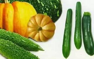 江苏经贸吃瓜详情,揭秘校园内幕风波  第3张