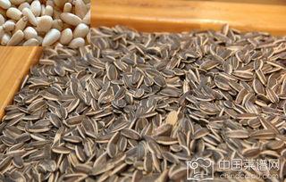 炒货吃瓜,品味生活百态  第1张