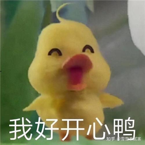 吃瓜小黄鸭是谁,吃瓜小黄鸭的崛起之路  第3张