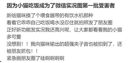 微信聊吃瓜,揭秘网络八卦背后的真相与趣味  第3张