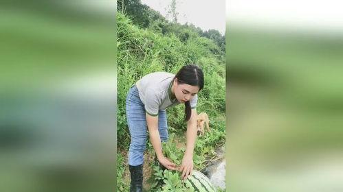 越南老表吃瓜,揭秘东南亚独特的饮食文化  第1张