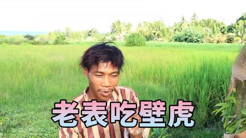 越南老表吃瓜,揭秘东南亚独特的饮食文化  第2张