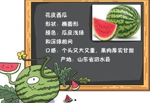 吃瓜的历史渊源,吃瓜文化的演变与传承  第2张