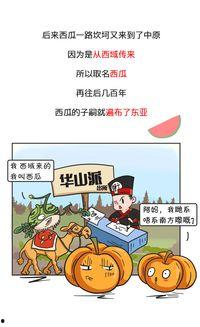 吃瓜的历史渊源,吃瓜文化的演变与传承  第3张