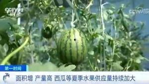 灵性吃瓜群众广告,广告背后的神秘力量