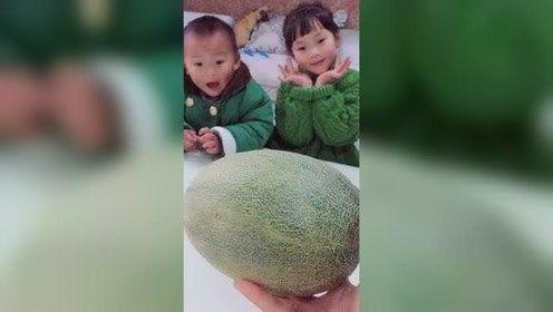 哥哥背妹妹吃瓜,哥哥背妹妹吃瓜，温馨瞬间感动网友