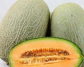 吃哈密瓜的女星,揭秘那些与哈密瓜合影的女星风采