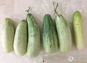 我的吃瓜经历,揭秘娱乐圈那些事儿