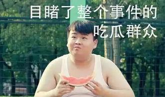 高碧波吃瓜回放,揭秘娱乐圈幕后真相