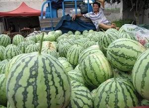 短短几天吃瓜,揭秘短短几天的吃瓜盛宴