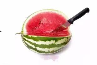 艺儿吃瓜,揭秘娱乐圈那些不为人知的幕后故事