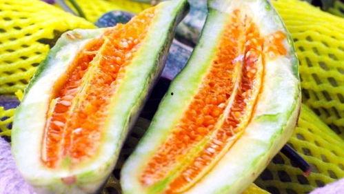 云幽岛吃瓜,揭秘神秘吃瓜文化背后的故事