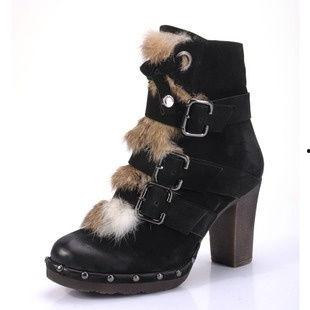 核桃猫吃瓜,核桃猫的瓜田奇遇记