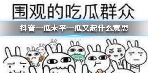 抖音早期吃瓜,吃瓜群众的狂欢盛宴