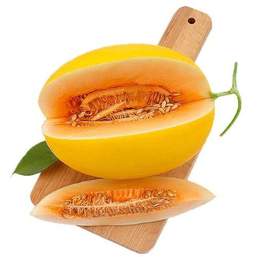 德文可以吃蜜瓜嘛,德国人能享用甜蜜蜜瓜吗？