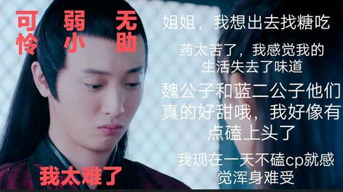 吃瓜温宁,揭秘娱乐圈背后的故事与真相