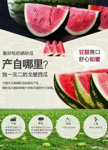 硒砂瓜是新疆瓜吗怎么吃,源自新疆的独特美味，这样吃更营养！