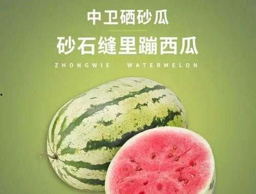 吃硒砂瓜作文,硒砂瓜的独特魅力与营养价值