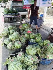 莱阳义乌吃瓜事件,一场网络热议背后的真相与反思