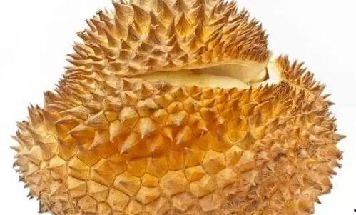 台州荔枝瓜怎么吃,台州荔枝瓜的多彩食法探索