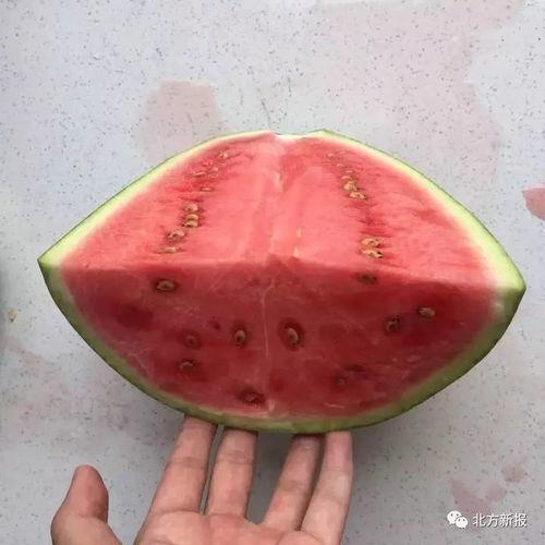 吃瓜不带籽,吃瓜不带籽，清爽一夏