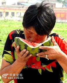 老太太吃瓜文案