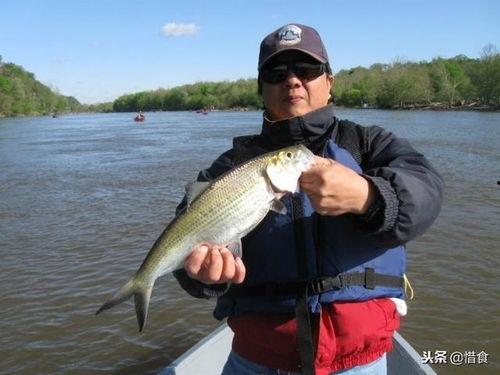 吃瓜迈江,揭秘网络红人的崛起之路