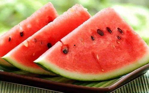 夏天吃收瓜,甜蜜收瓜时光